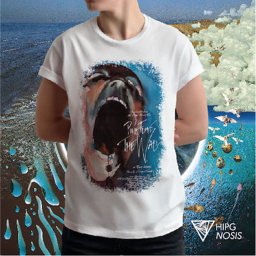 Pink Floyd The wall 02 - Hipgnosis